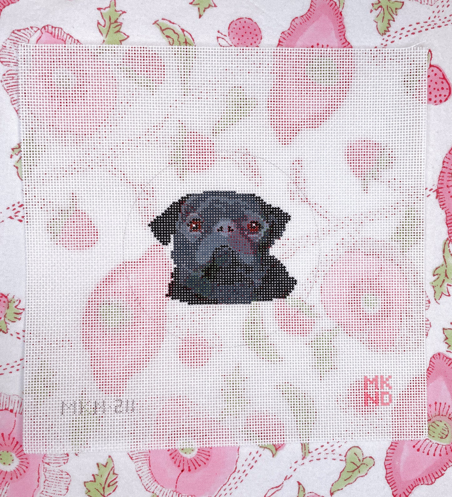 black pug