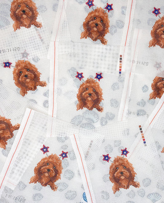 patriotic cockapoo