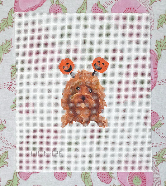 cockapoo halloween