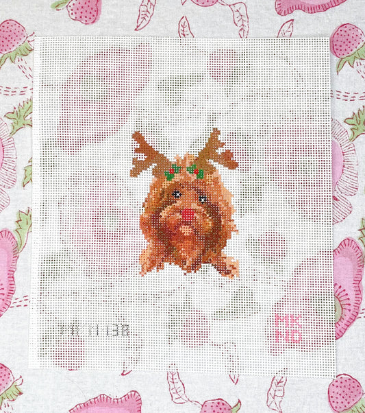 cockapoo christmas