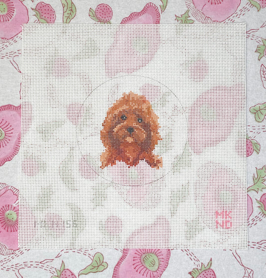 Pre-Order: Cockapoo
