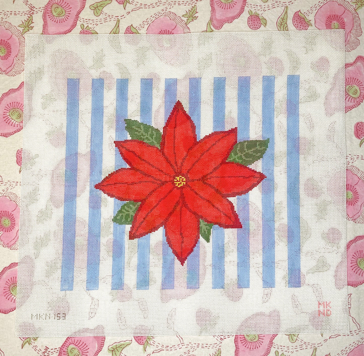 red poinsettia
