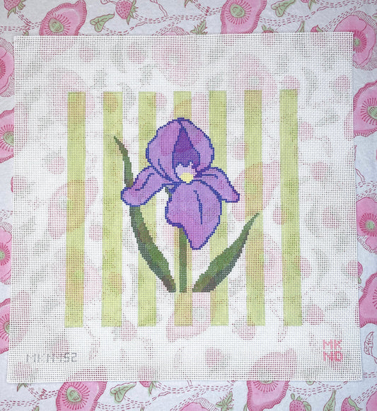 purple iris
