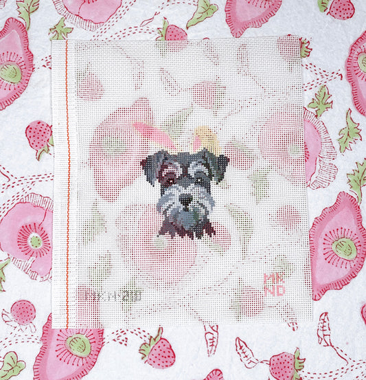 schnauzer bunny