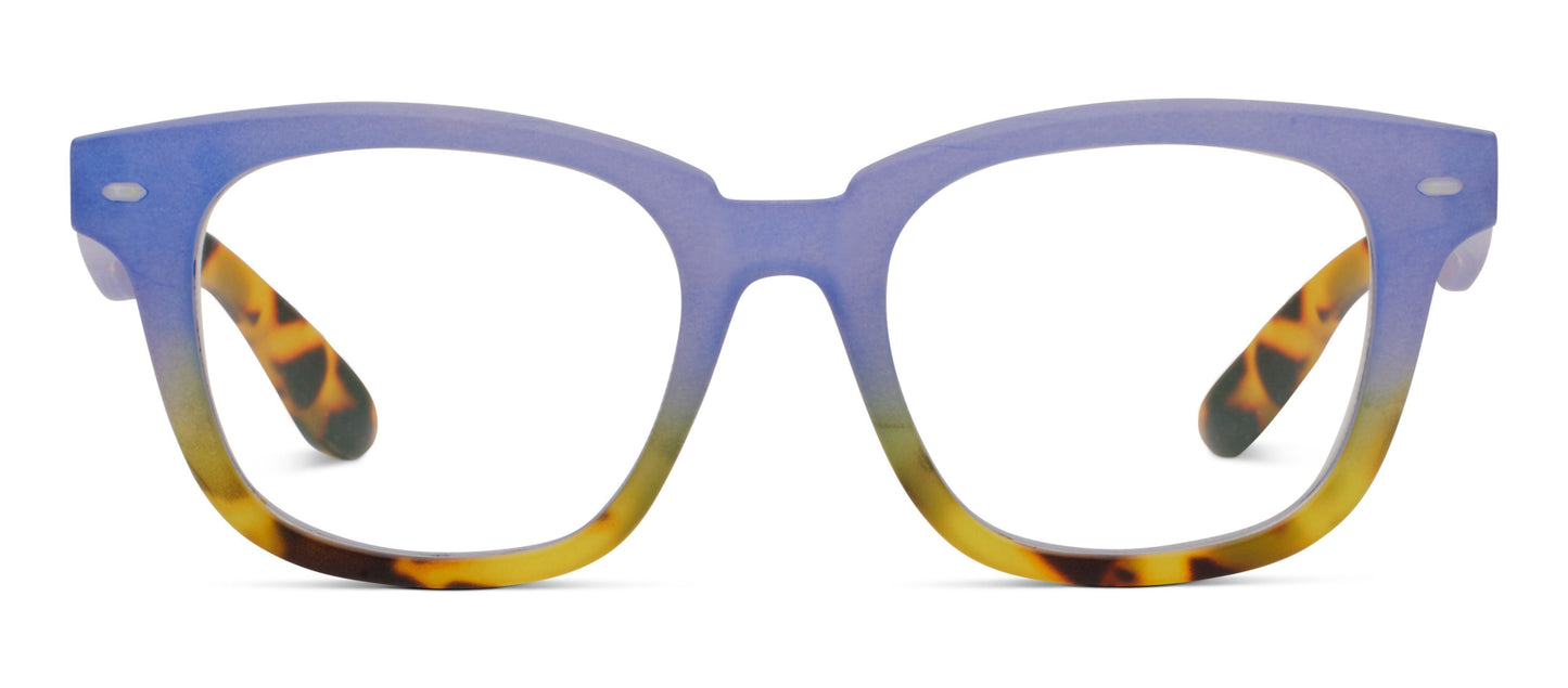 Hidden Gem - Blue/Tokyo Tortoise