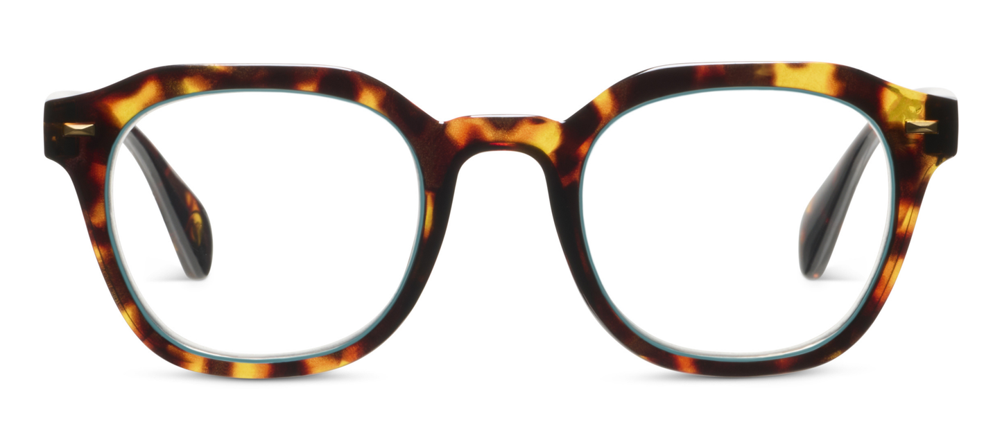 Neon - Tortoise